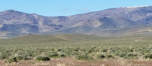 fernley nevada builders